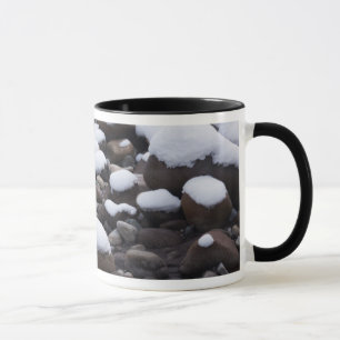 Caneca Neve e Rochas, Parque Nacional Mt. Rainier