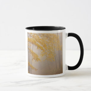Caneca Névoa e folhagem de outono, Grandes Montanhas Fumo