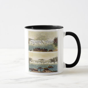 Caneca Niagara Falls, 1818 (gravura da cor)