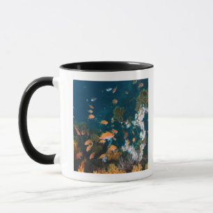 Caneca Nishiizumachi, Shizuoka, Japão 2