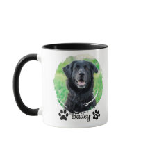 Nome de Foto Simples de Pet Moderno