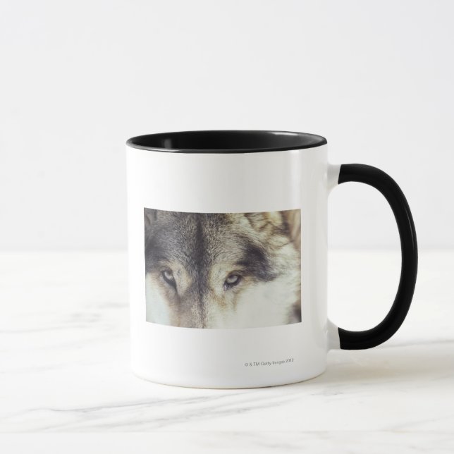 Caneca Nome Latin: Lúpus de Canis (Direita)