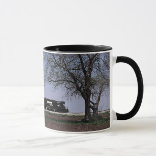 Caneca - Norfolk do sul em Tolono