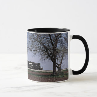 Caneca - Norfolk do sul em Tolono