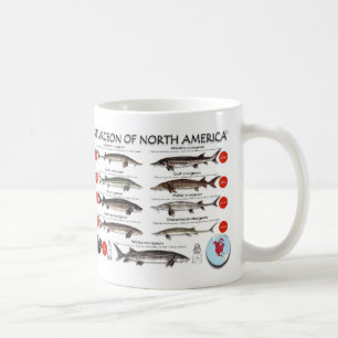 Caneca norte-americana de RedList do esturjão