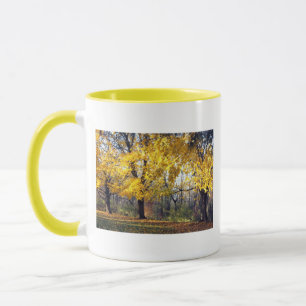 Caneca Norway Maples