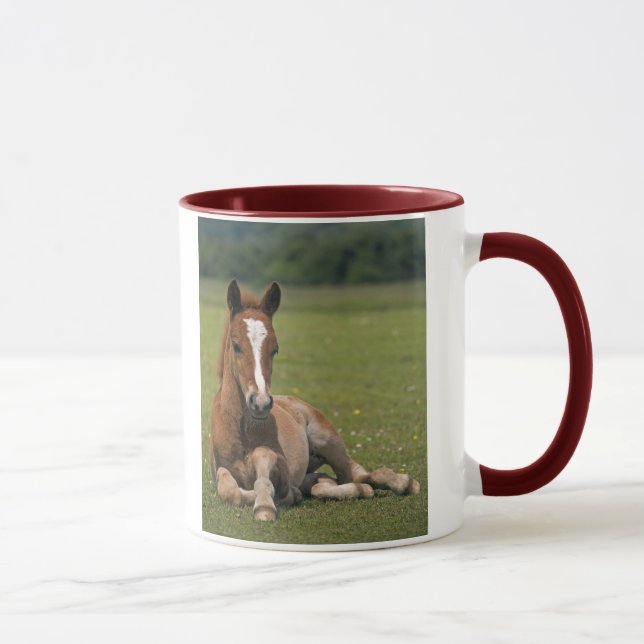 Caneca nova do potro da floresta (Direita)