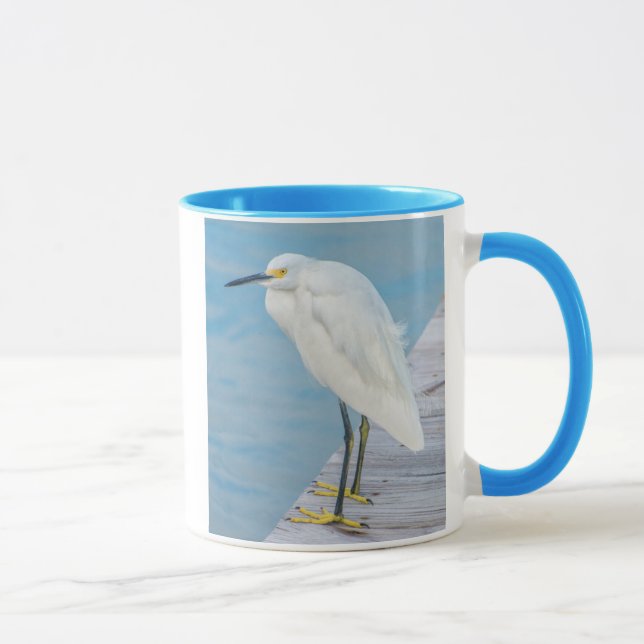 Caneca Nova praia de Smyrna, Snowy Egret no cais (Direita)