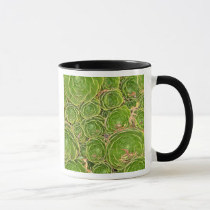 Caneca Nova Zelândia, Ilha do Sul. Suculenta.