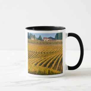 Caneca Noz Negra, com aspecto Tuscano, acima da