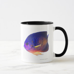 Caneca O angelfish two-spined