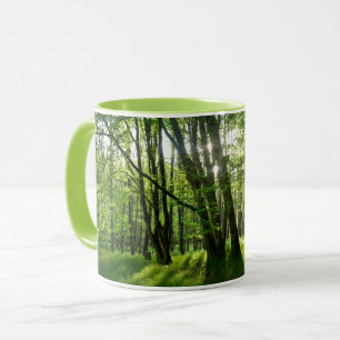 Caneca O bosque na primavera