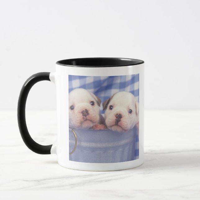 Caneca O buldogue, chamado frequentemente o buldogue (Esquerda)