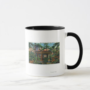 Caneca O estudo de Mark Twain na fazenda da pedreira,