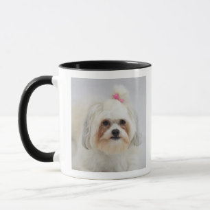 Caneca o frise do bichon com um arco cor-de-rosa nele é