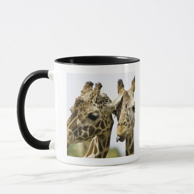 Caneca O girafa conhecido é derivado da palavra árabe (Esquerda)