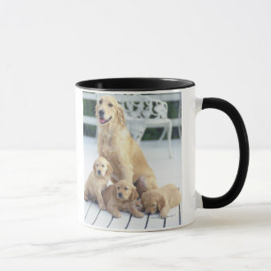 Caneca O golden retriever é um relativamente moderno e