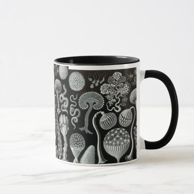 Caneca O Mycetozoa de Ernst Haeckel (Direita)