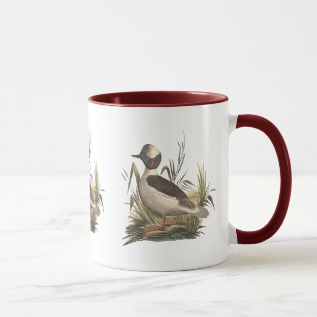 Caneca O Pato Cabeça de Buffle (Fuligula albeola) (Direita)