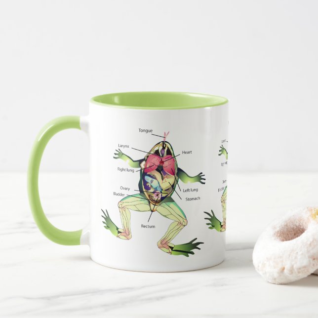 Caneca O Verde da Ilustração Anatomia do Sapo (Com Donut)