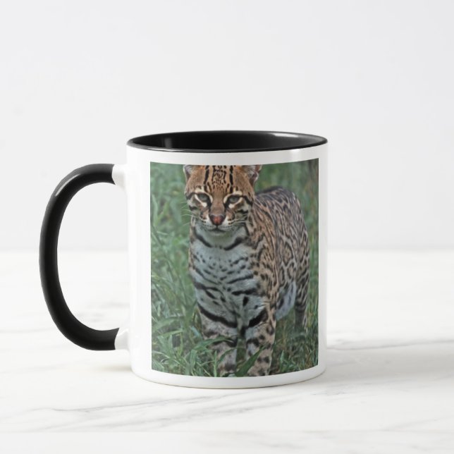 Caneca OCELOTE (Leopardus pardalis) AMÉRICA CENTRAL (Esquerda)