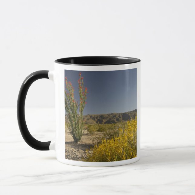 Caneca Ocotillo e senna do deserto (Esquerda)