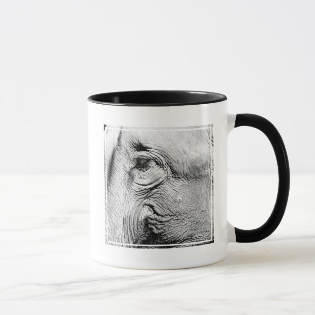 Caneca Olho de Elefantes, 2017 (Direita)