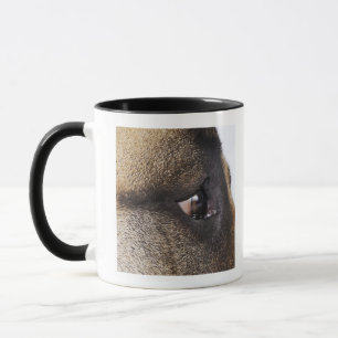 Caneca Olho de great dane