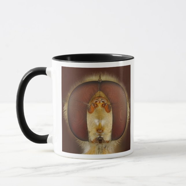 Caneca Olhos principais e compostos de uma mosca do pairo (Esquerda)