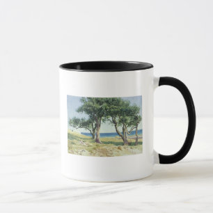 Caneca Oliveiras velhas, Bordighera