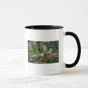 Caneca Opinião as Boi-Equipes que transportam registros