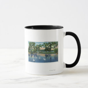Caneca Opinião cénico as cisnes no lago