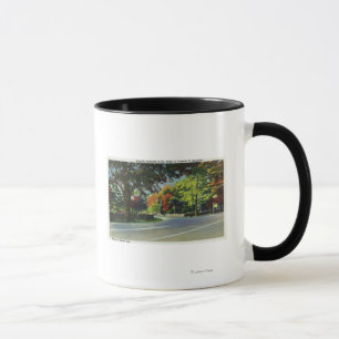 Caneca Opinião da entrada à casa do FDR