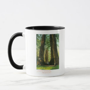 Caneca Opinião gêmeos da sequóia vermelha no bosque
