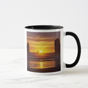 Caneca OR, Costa do Oregon, Cannon Beach, pilhas de maré
