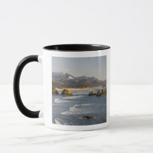 Caneca OR, Costa do Oregon, Parque Estadual Ecola, vista