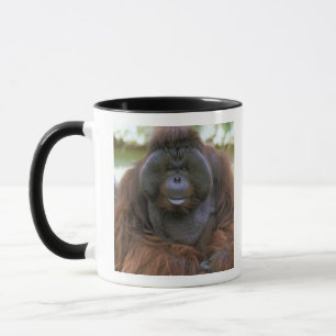 Caneca Orangutan Pongo Pygmaeus