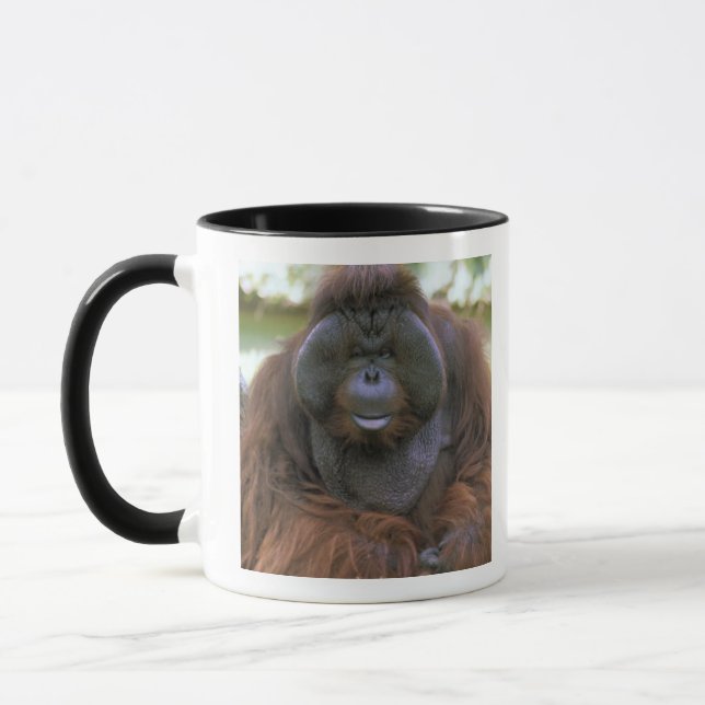 Caneca Orangutan Pongo Pygmaeus (Esquerda)