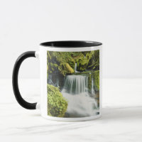 Oregon, Cachoeira no parque nacional Willamette