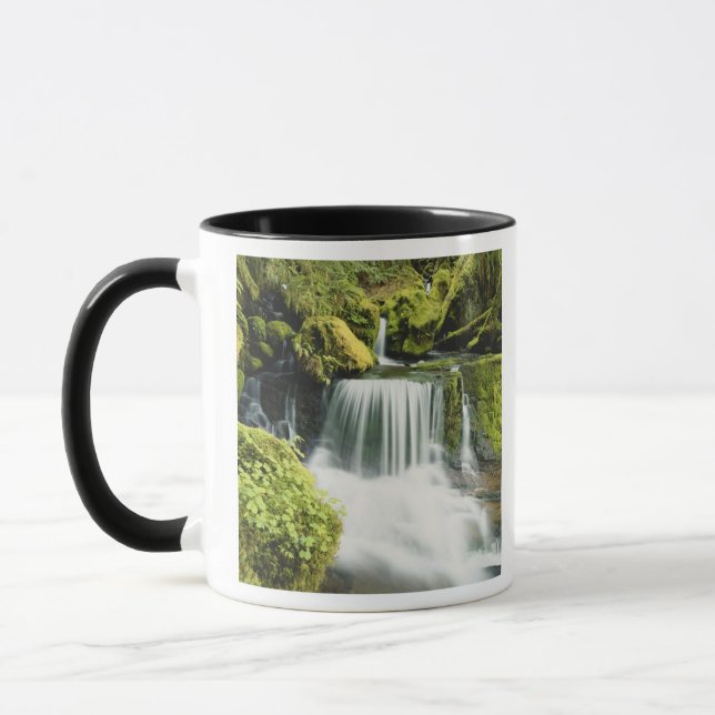 Caneca Oregon, Cachoeira no parque nacional Willamette (Esquerda)