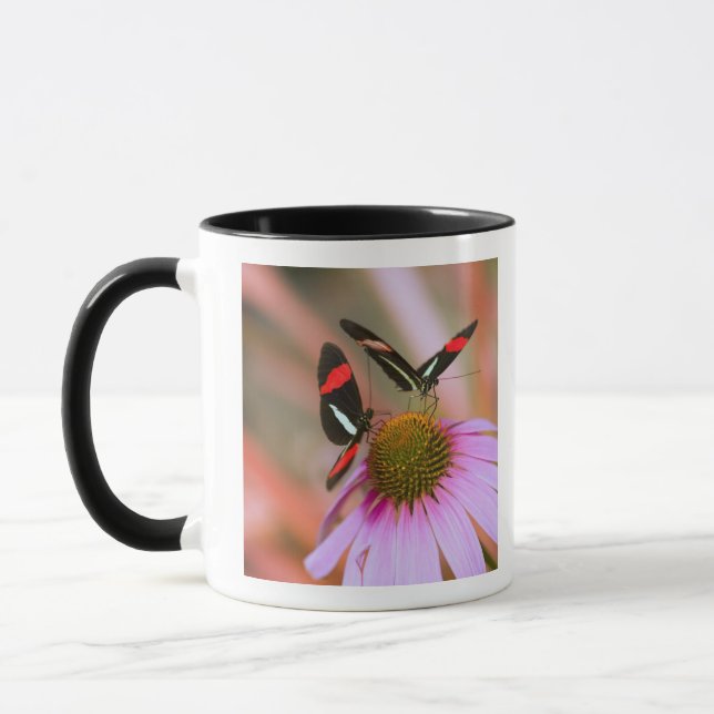Caneca oregon, EUA 3 (Esquerda)
