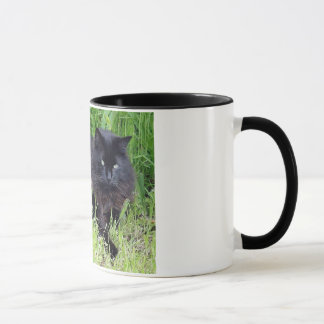 Caneca Orgulhoso régio felino do cabelo longo macio do