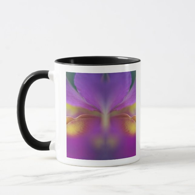 Caneca Orquídea híbrida, Flórida 2 (Esquerda)