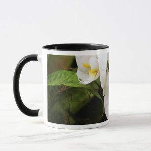 Caneca Orquídea Lua Branca (Phalaenopsis Aphrodite)
