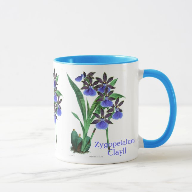 Caneca Orquídea Zygopetalum Clayll (Direita)