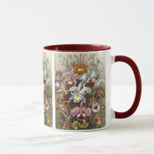 Caneca Orquídeas Ernst Haeckel Belas Artes