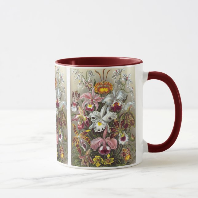 Caneca Orquídeas Ernst Haeckel Belas Artes (Direita)