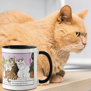 Caneca Os Gatos estão no comando