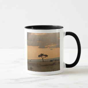Caneca Os raios de sol laserando através da tarde