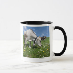 Caneca Os tiros foram feitos usando uma grande ângulo
